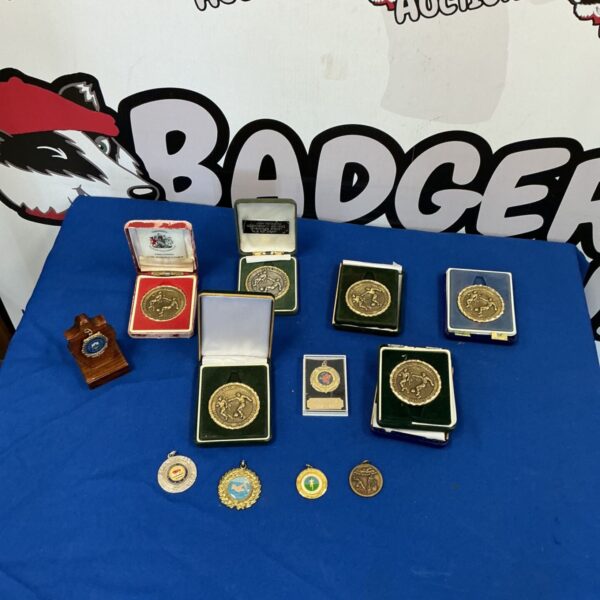Collection of vintage football medals in protective cases.