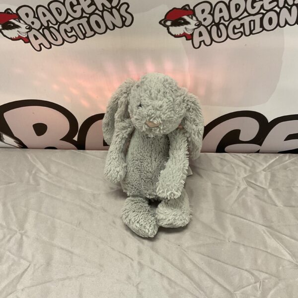 Cute Jellycat bunny soft toy with floppy ears.