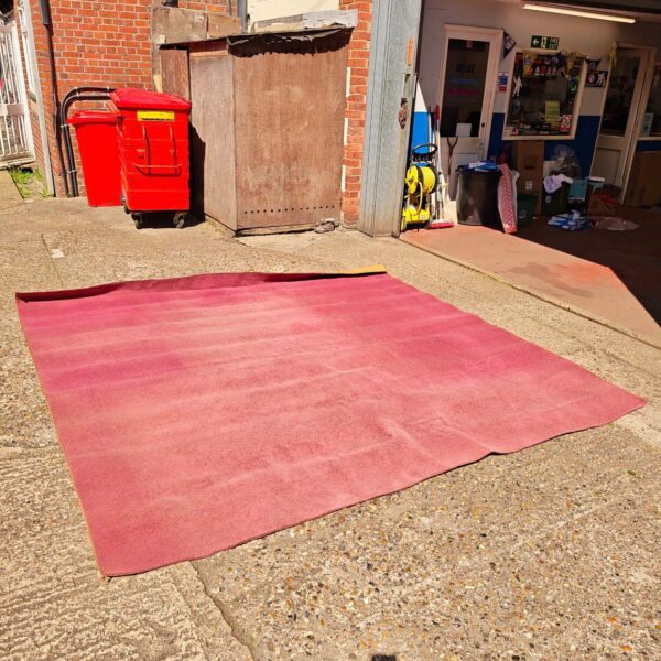 Large pink shag rug displayed outdoors near a building.