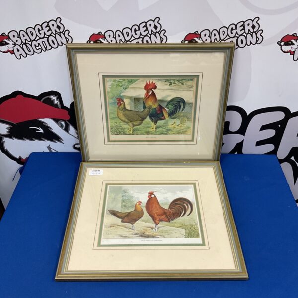 Framed Ludlow rooster and chicken prints for farmhouse decor.
