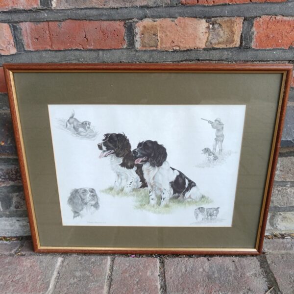 Framed Nigel Hemming print of two Springer Spaniels.