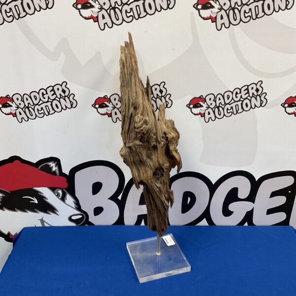 Petrified wood sculpture on a clear stand, showcasing natural wood grain.