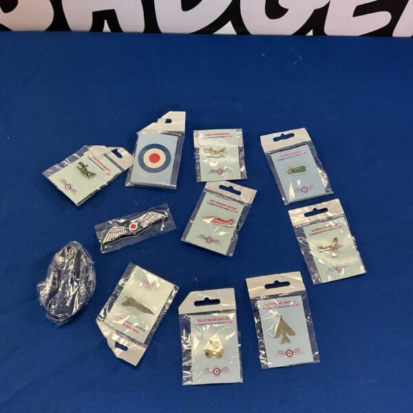 Lot of eleven RAF Association pin badges, enamel detailing.