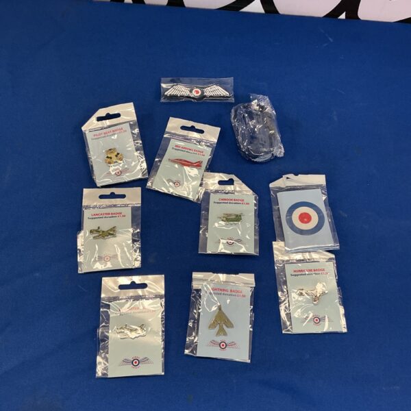 Lot of ten RAF pin badges, military aviation collectibles.