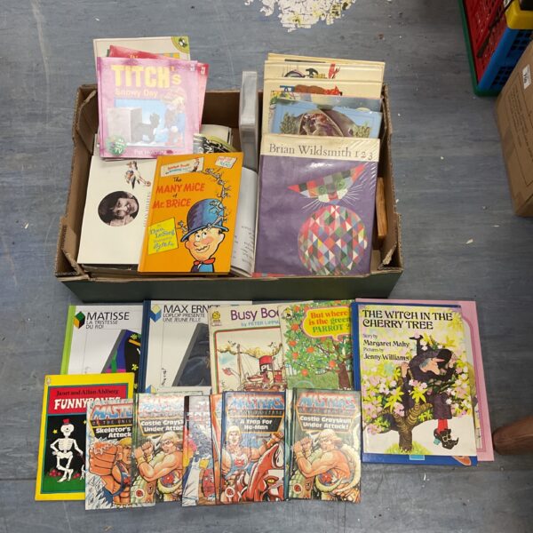 Lot of vintage children's books including Ladybird and Masters of the Universe.