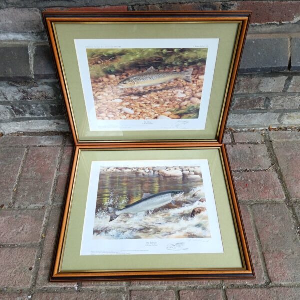 Pair of signed Rodger Mcphail prints depicting salmon and trout.
