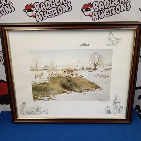 Ros Goody limited edition sheep print titled "Snow Lay Around"