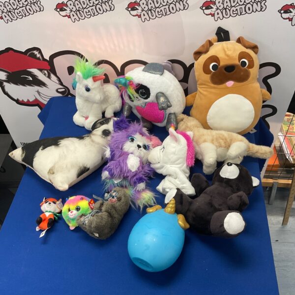 Colourful soft toy lot featuring Beanie Babies and Squishees.