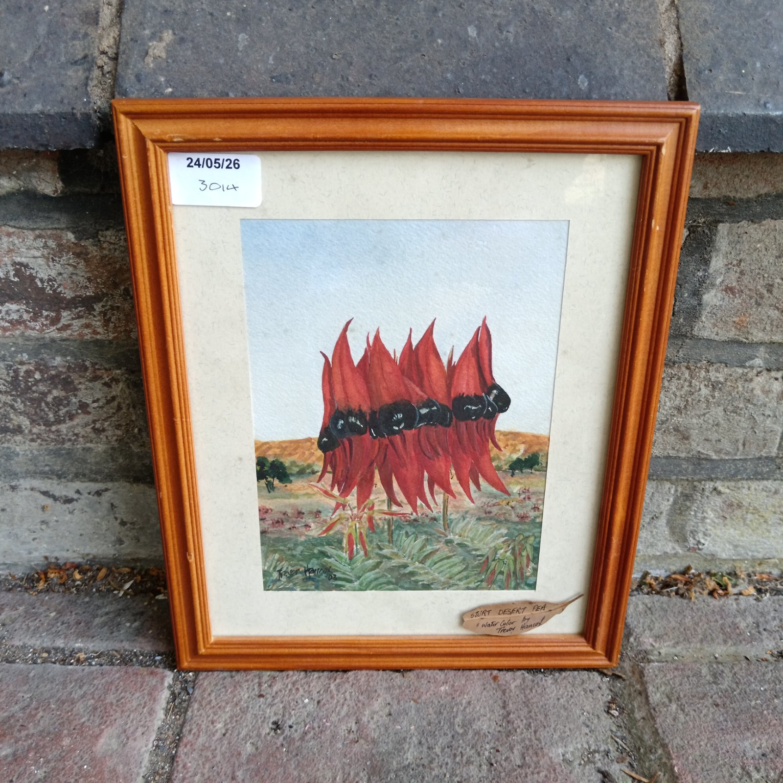Signed Trevor Hancox watercolour painting of a vibrant Sturt Desert Pea.