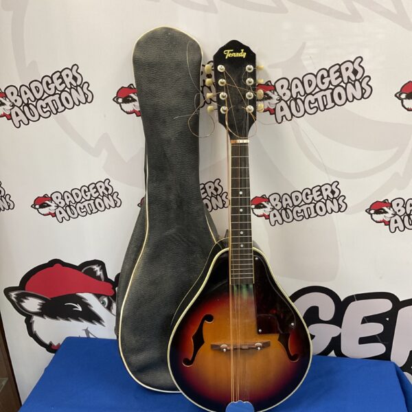 Vintage Tenada starburst mandolin with case, detailed view.