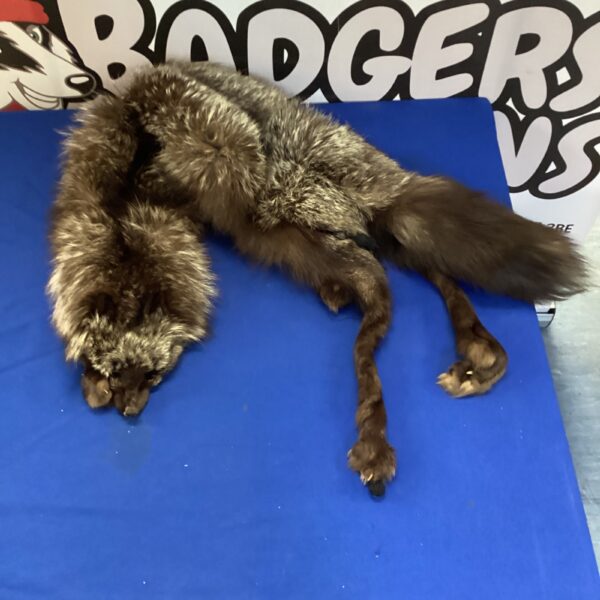 Luxurious vintage fox fur shawl with head and tail intact.