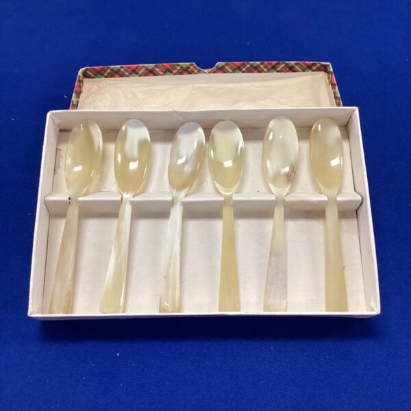 Set of six vintage horn spoons in original box.