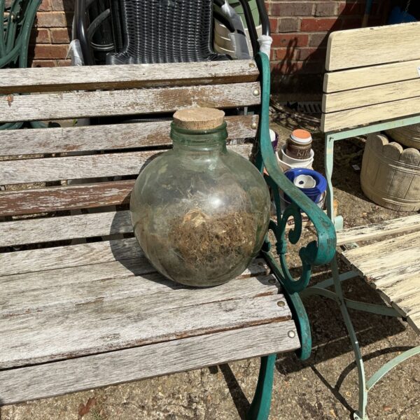 Vintage glass plant terrarium bottle with aged patina.