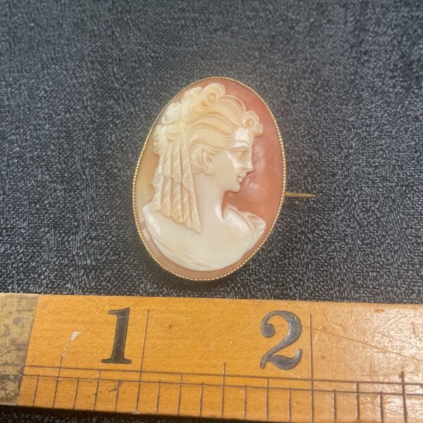 Antique 9ct gold cameo brooch with a classical profile.