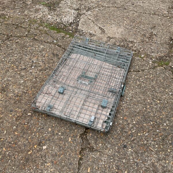 Metal animal transport cage with secure latches, showing signs of wear.