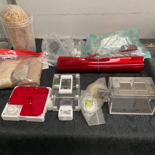 Ant Kingdom set with various components laid out for display.