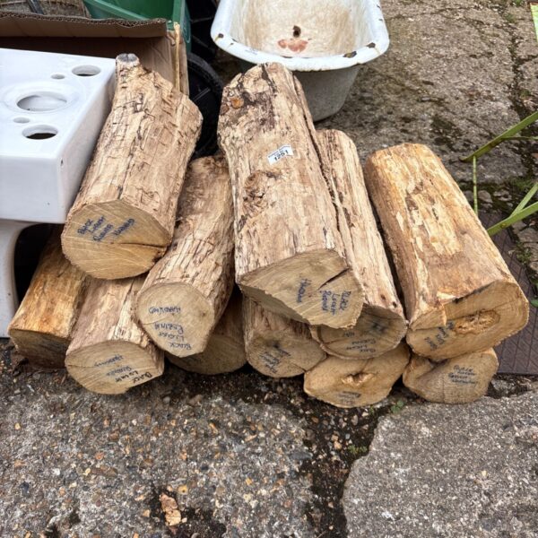 Stack of black locust wood logs for crafting or firewood.
