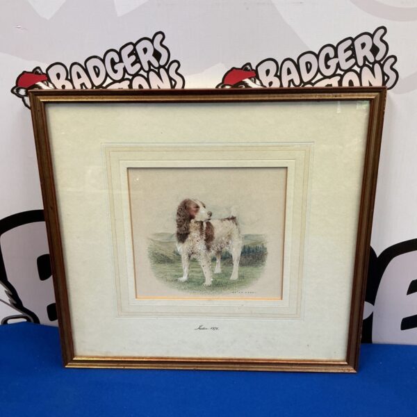 Brian Eden watercolour painting of a beautiful spaniel dog.