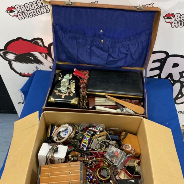 Costume jewellery lot with necklaces, brooches, and accessories.