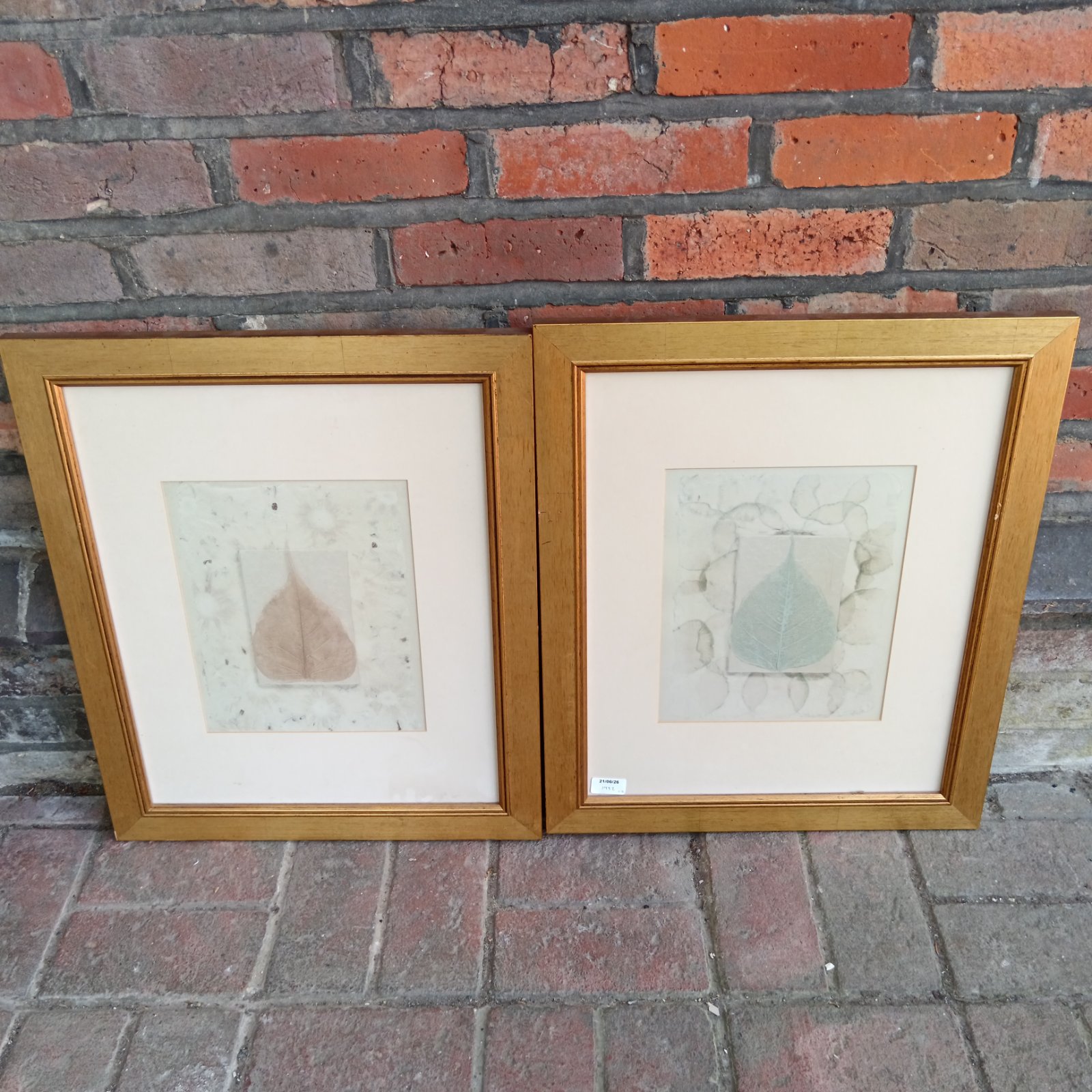 Pair of gilt framed leaf prints for elegant wall decor.