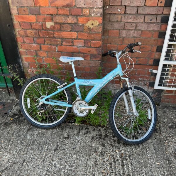 Light blue Raleigh Diva girls bicycle in outdoor setting.