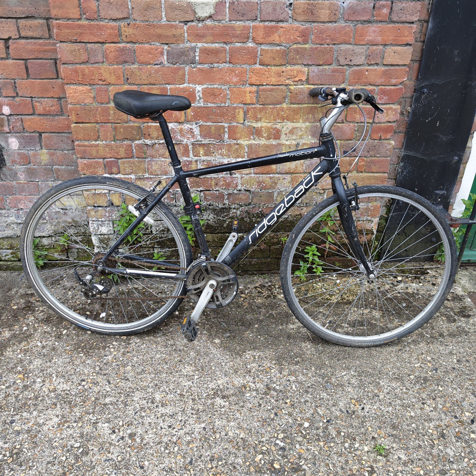 Black Ridgeback Rapide Motion mountain bike in a garden setting.