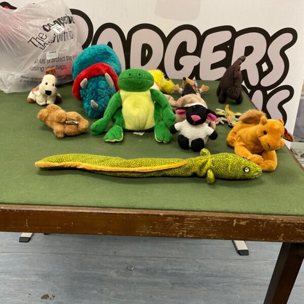 Carrier bag filled with a colourful bundle of soft toys.