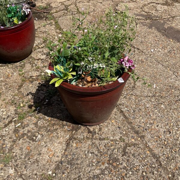 Red terracotta garden planter filled with vibrant green plants.