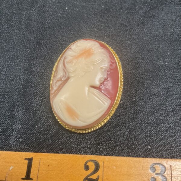 Vintage cameo brooch with floral details and classical profile.