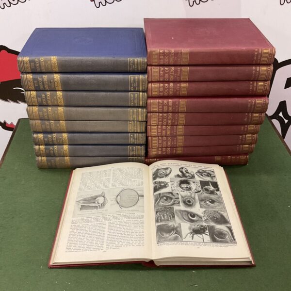 Vintage encyclopaedia collection in red leatherette bindings.