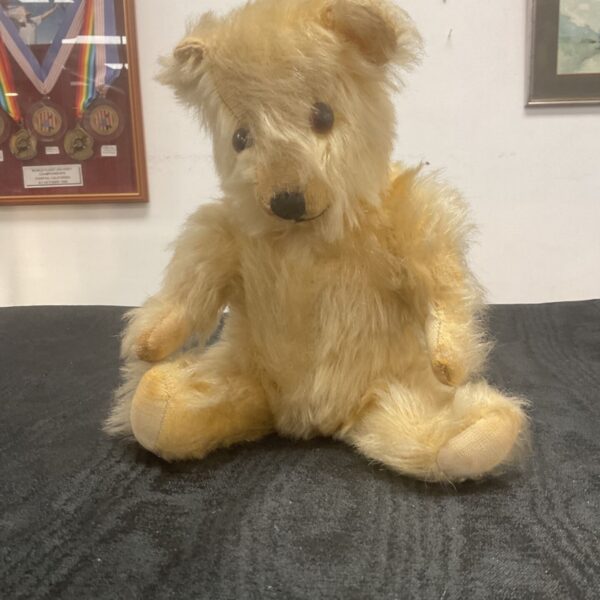 Vintage mohair teddy bear with jointed limbs and glass eyes.