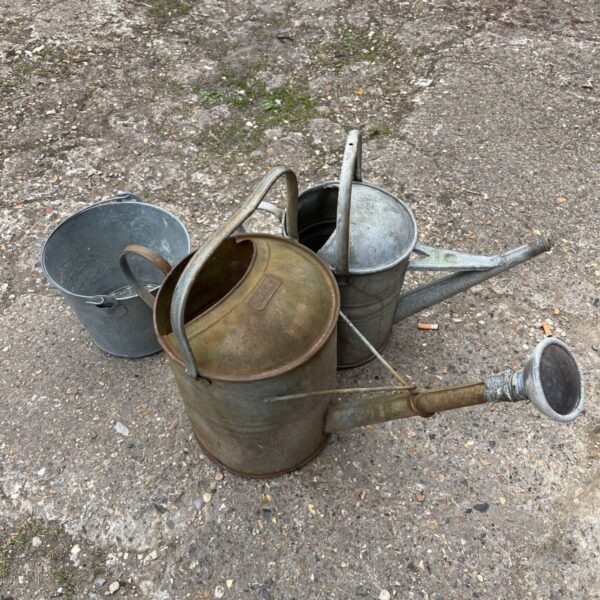 Vintage galvanized watering cans and bucket in a garden setting.