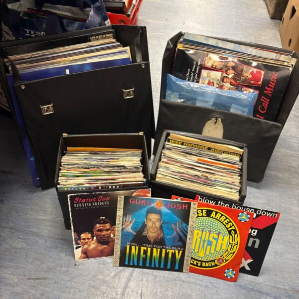 Mixed vinyl record collection with Status Quo records in a case.