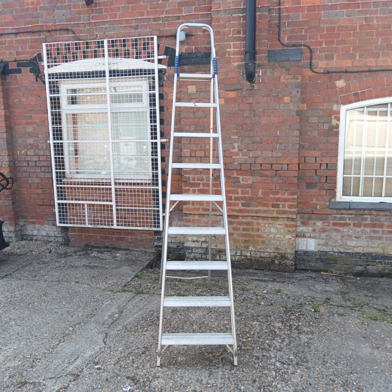 Large aluminium step ladder leaning against brick wall.