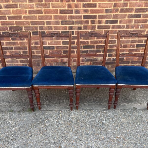 Antique mahogany dining chairs with blue velvet upholstery.