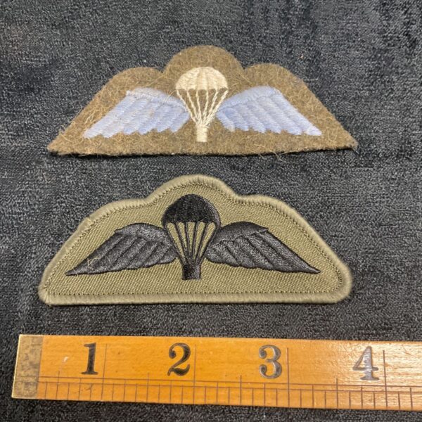 Vintage British Army Parachute Regiment badge with faded colours.