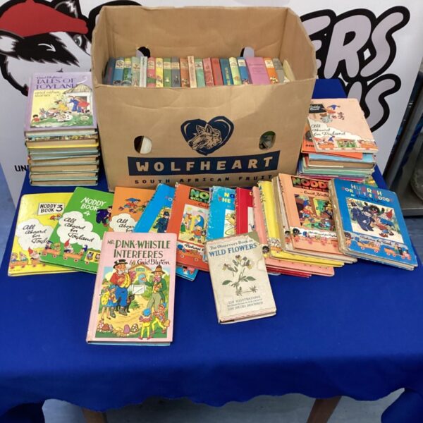 Mixed lot of vintage Enid Blyton and Noddy children's books.