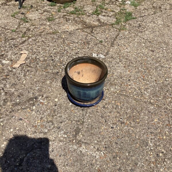 Glazed terracotta garden pot with a blue rim.