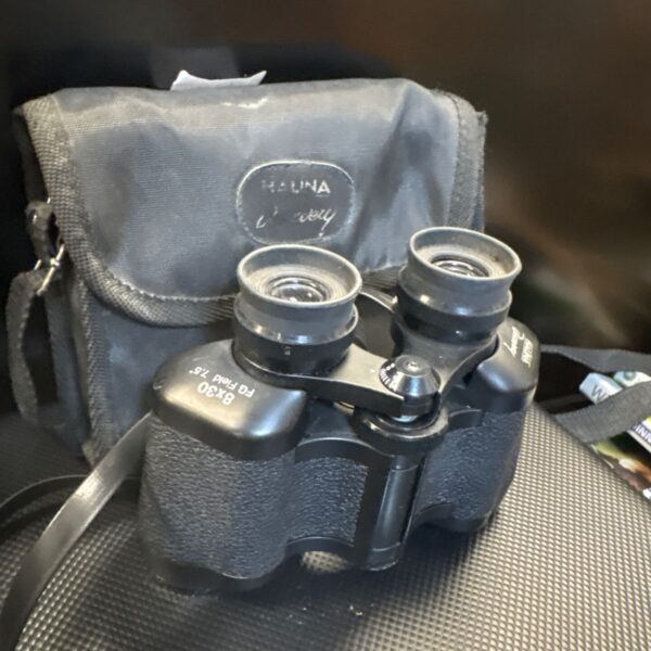 Vintage Halina 8x30 binoculars in a protective case.