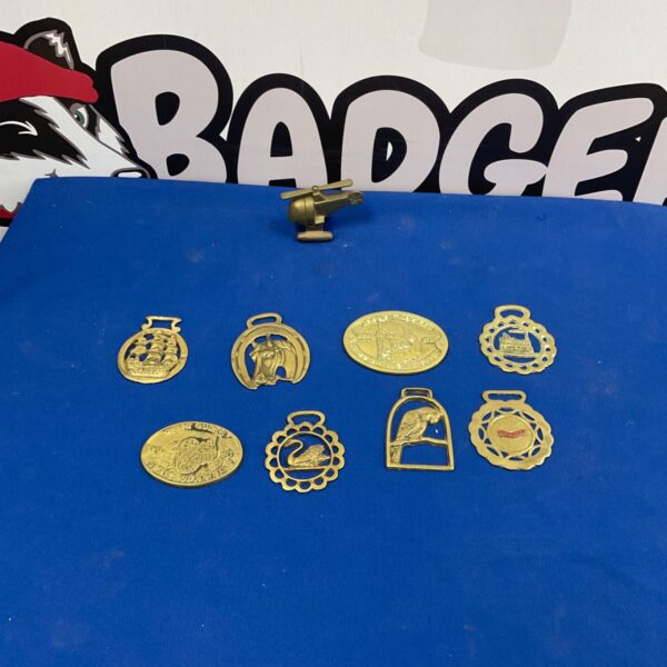 Antique horse brasses and steam engine plates collection for collectors.