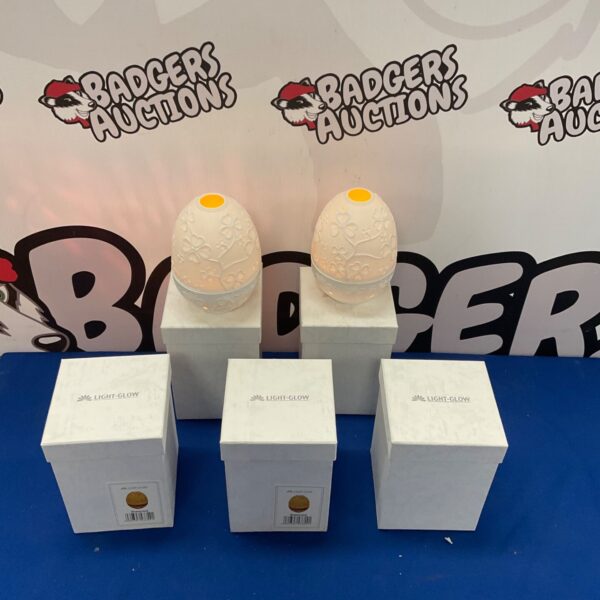 Five Light Glow egg-shaped LED lights presented for auction.