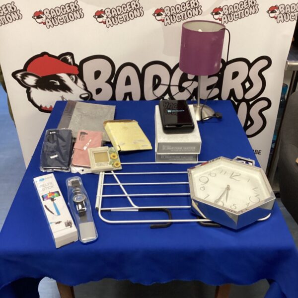 box of mixed inc selfie stick & uv smartphone sanitizers