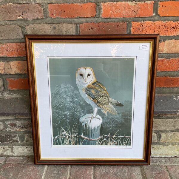 Signed Mark Chester barn owl print, detailed wildlife art.