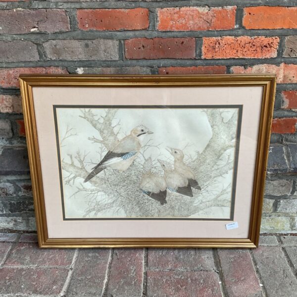 Original watercolour painting of Eurasian Jays by Martin Brooks.