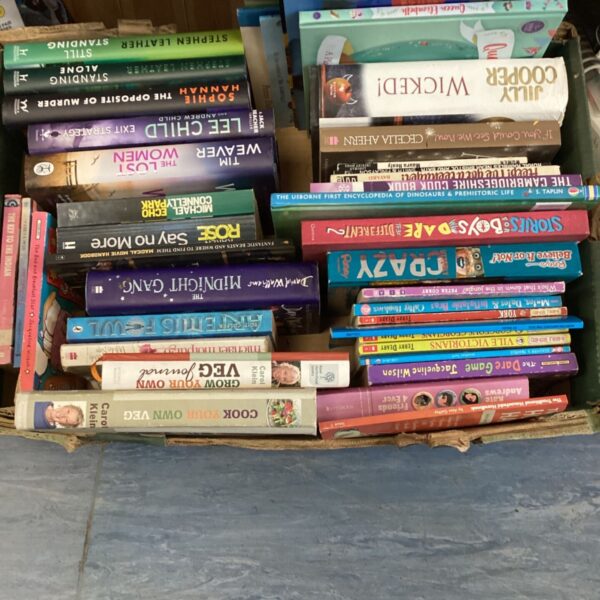 Mixed novel lot including Lee Child and Ripley's Believe It or Not books.