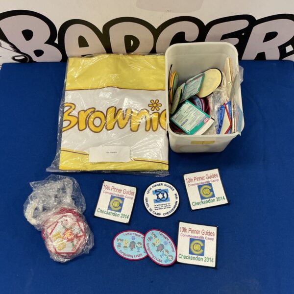 Assorted Pinner Guides badges for Girlguiding collectors.