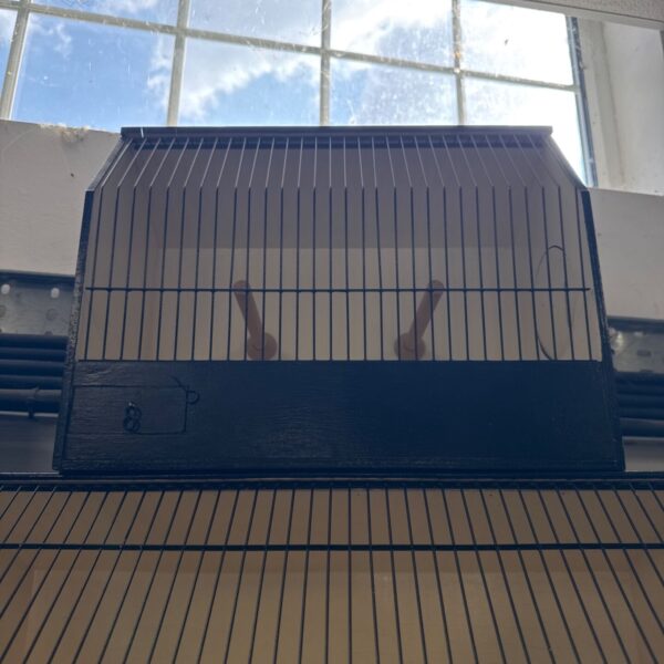 Vintage wooden bird display cage with wire mesh sides.