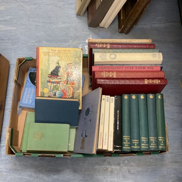 Vintage book lot featuring Peter Pan and Little Black Sambo.