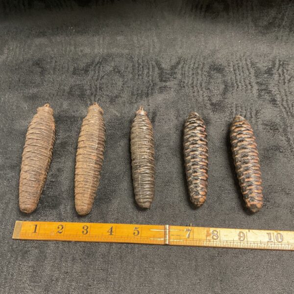 Vintage pine cone cuckoo clock weights for clock repair.