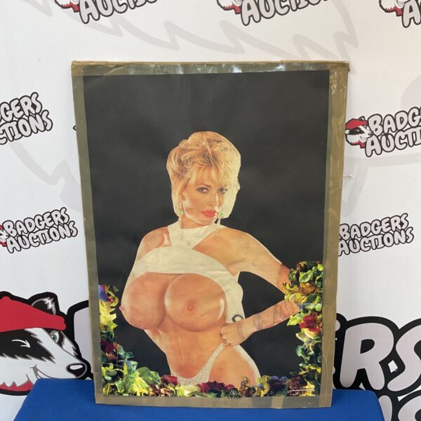 Vintage erotic collage of a topless lady with floral background.